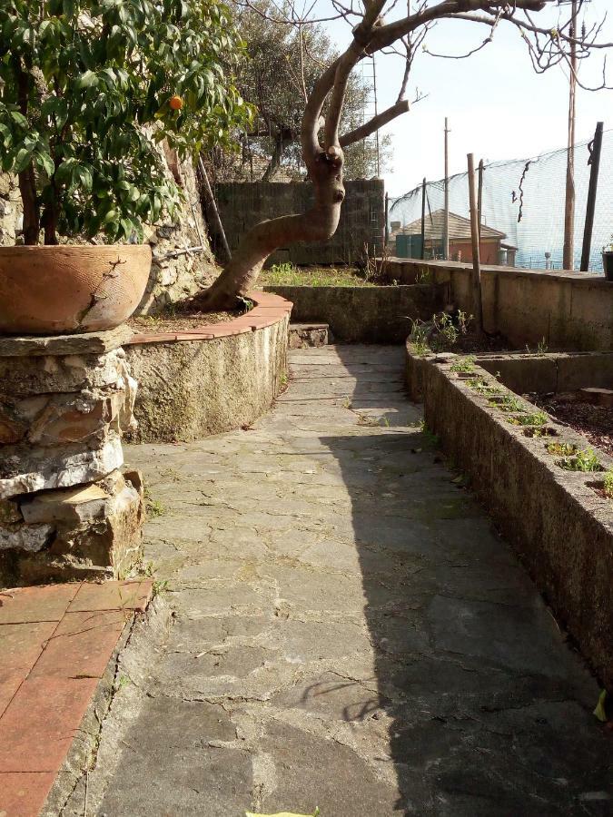Casa Picasso Apartment Genoa Luaran gambar